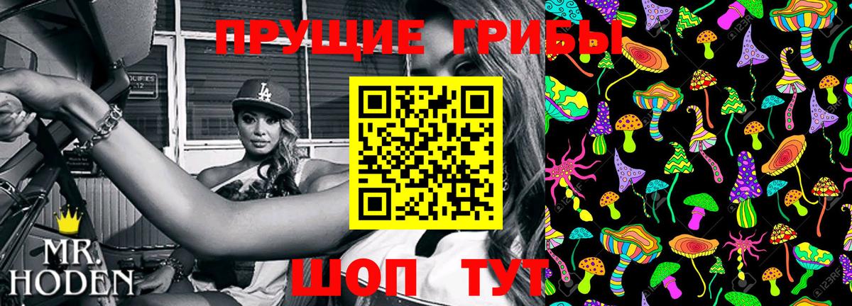 купить наркоту  Галлюциногенные грибы Psilocybe  Вход с VPN  Прокопьевск 